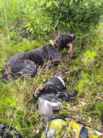 WhatsApp Image 2025-09-21 at 15.24.12.jpeg