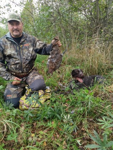 WhatsApp Image 2025-09-28 at 15.02.11.jpeg