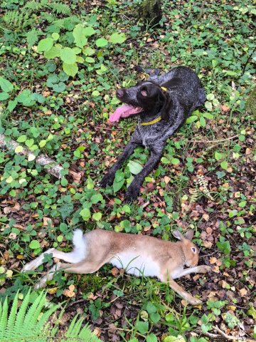 WhatsApp Image 2025-10-04 at 12.09.38.jpeg