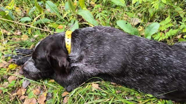 WhatsApp Image 2025-10-04 at 16.04.03.jpeg