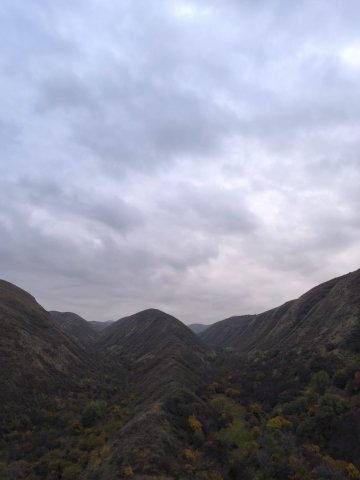 WhatsApp Image 2025-10-21 at 19.08.07 (1).jpeg