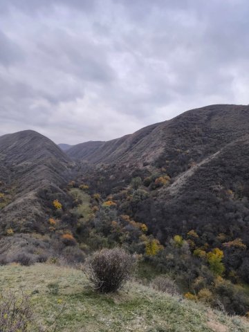 WhatsApp Image 2025-10-21 at 19.08.07.jpeg