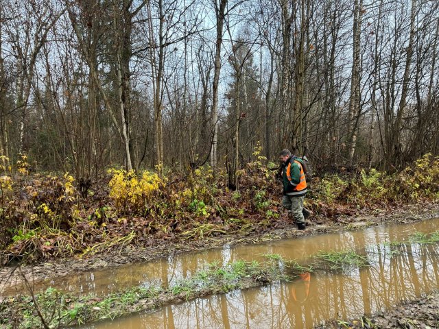 small.IMG_02142.jpg.825dacd054ed068c06c5