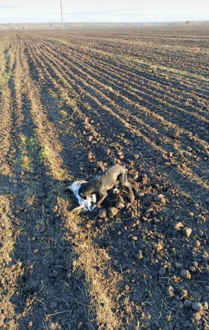 Screenshot_20251104-234504 (1).png