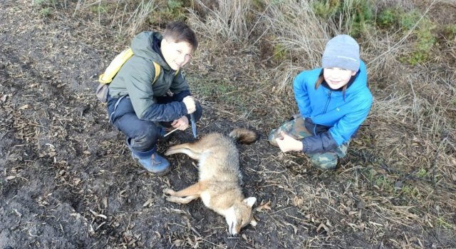 Screenshot_20251104-234511 (1).png