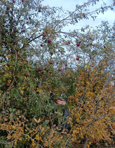 Screenshot_20251104-234714 (1).png