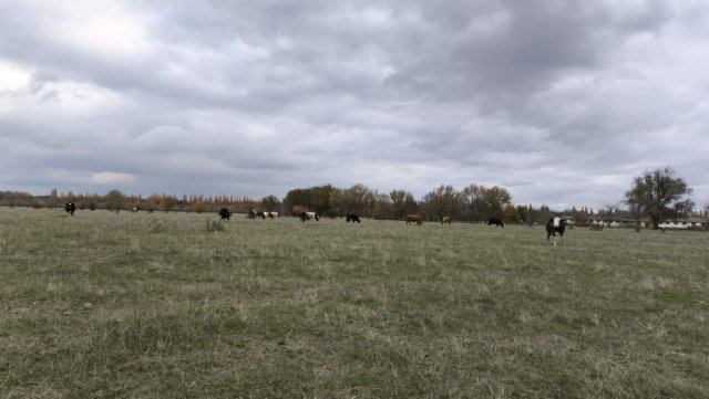 Screenshot_20251104-234725 (1).png