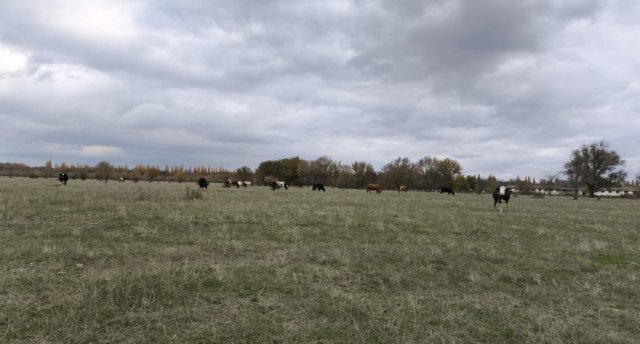 Screenshot_20251104-234725 (2).png