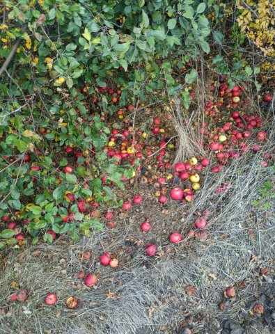 Screenshot_20251104-234739 (1).png