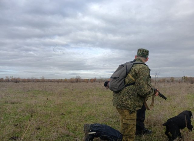 Screenshot_20251104-234748 (1).png