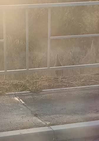 Screenshot_20251105-000304 (1).png