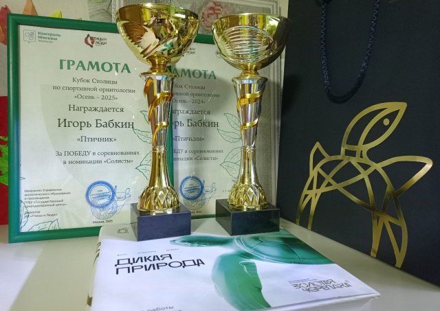 Screenshot_20251115-200046 (1).png