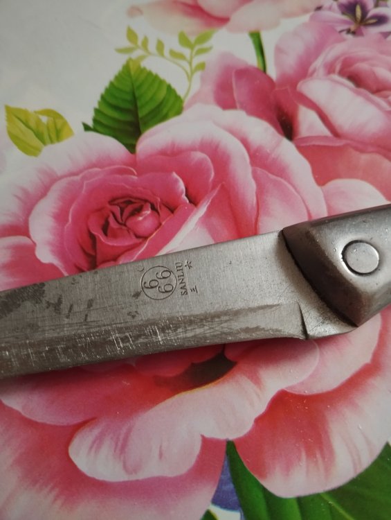 IMG_20251216_122920 (1).jpg