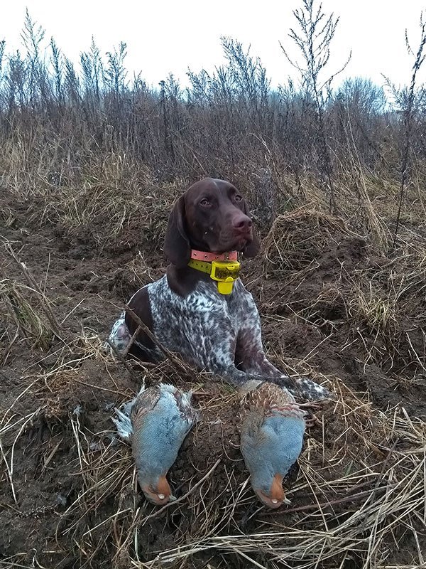 Окидывая взглядом