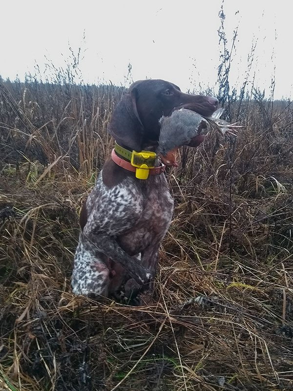 Окидывая взглядом