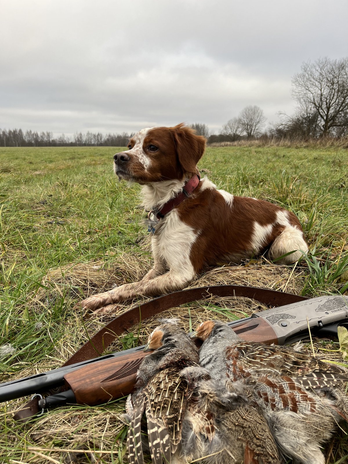 Все про охоту и вокруг неё