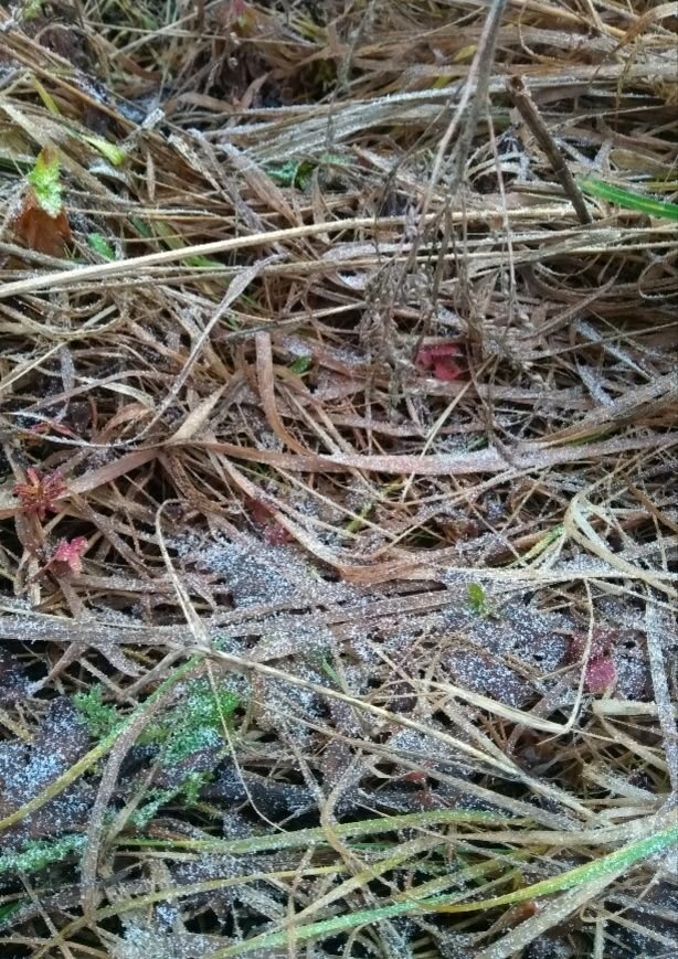 Окидывая взглядом