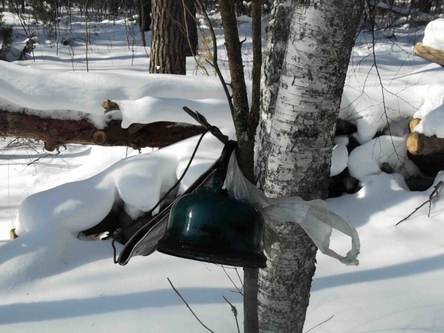 11 марта 025.jpg