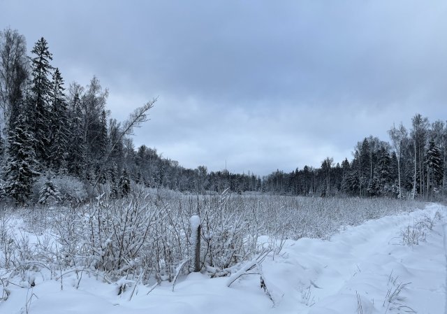 small.IMG_050011.jpg.f9def18bdf626ac221e