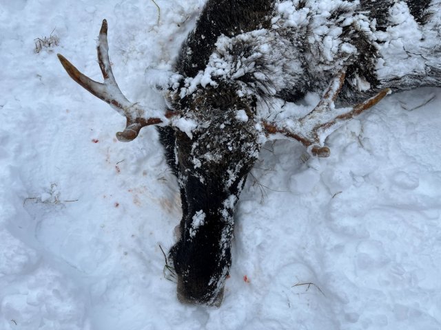 small.IMG_05081.jpg.b522320822c878bff866