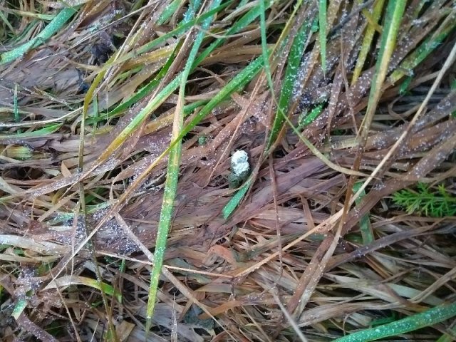 photo_2025-12-08_12-51-38 (2).jpg