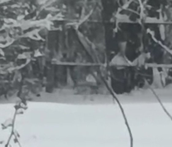 Screenshot_20260112-114612 (1).png