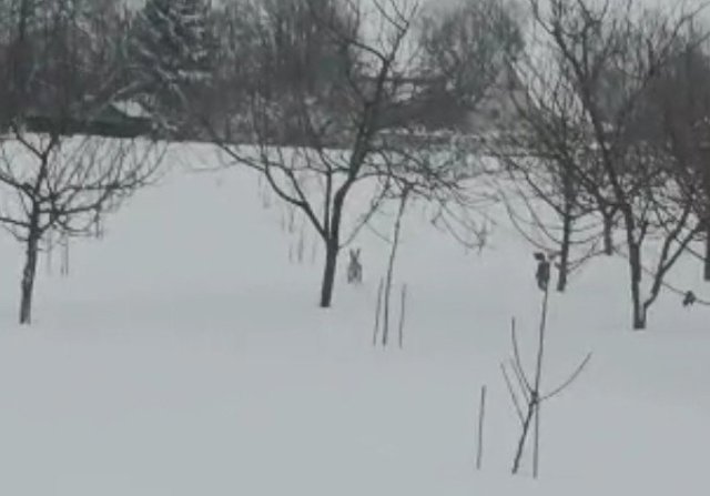 Screenshot_20260112-114635 (1).png