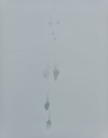 Screenshot_20260112-120112 (1).png