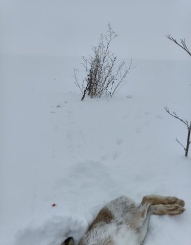 Screenshot_20260112-120120 (1).png