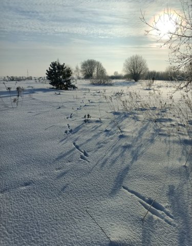 Screenshot_20260127-112315 (1).png