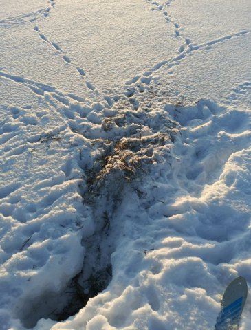 Screenshot_20260127-112323 (1).png