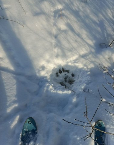 Screenshot_20260127-112345 (1).png