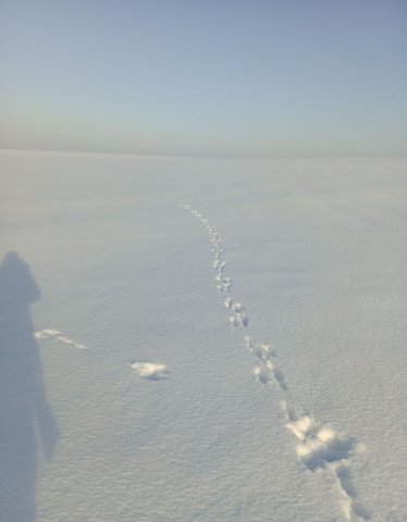 Screenshot_20260127-112503 (1).png