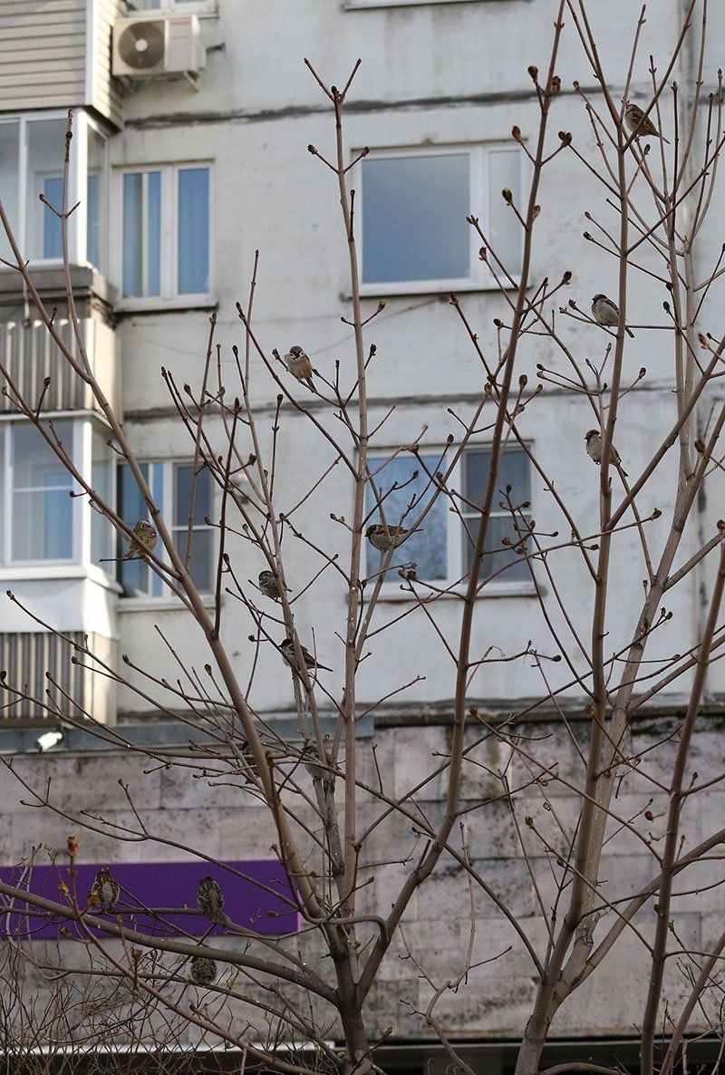 Окидывая взглядом