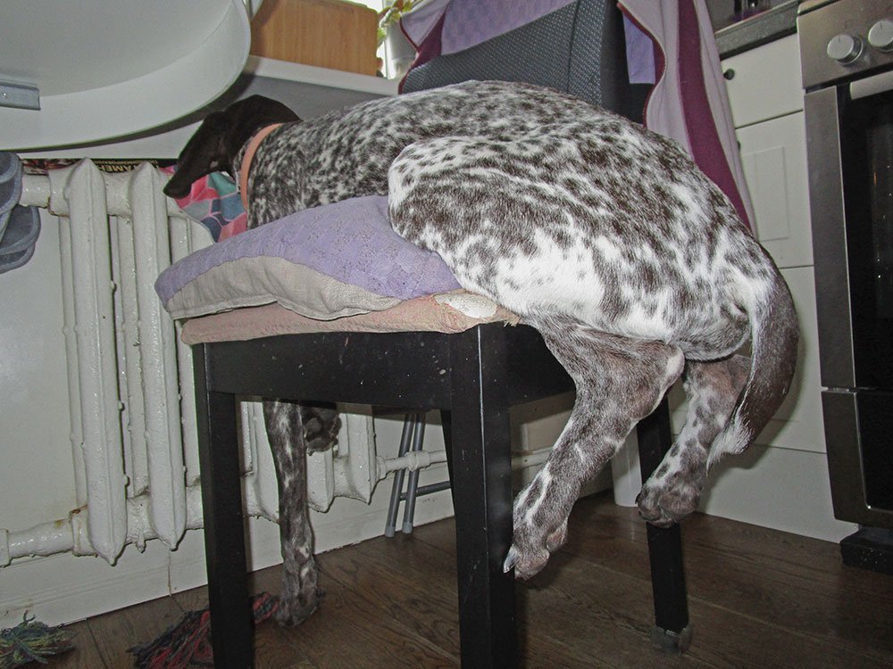 Окидывая взглядом