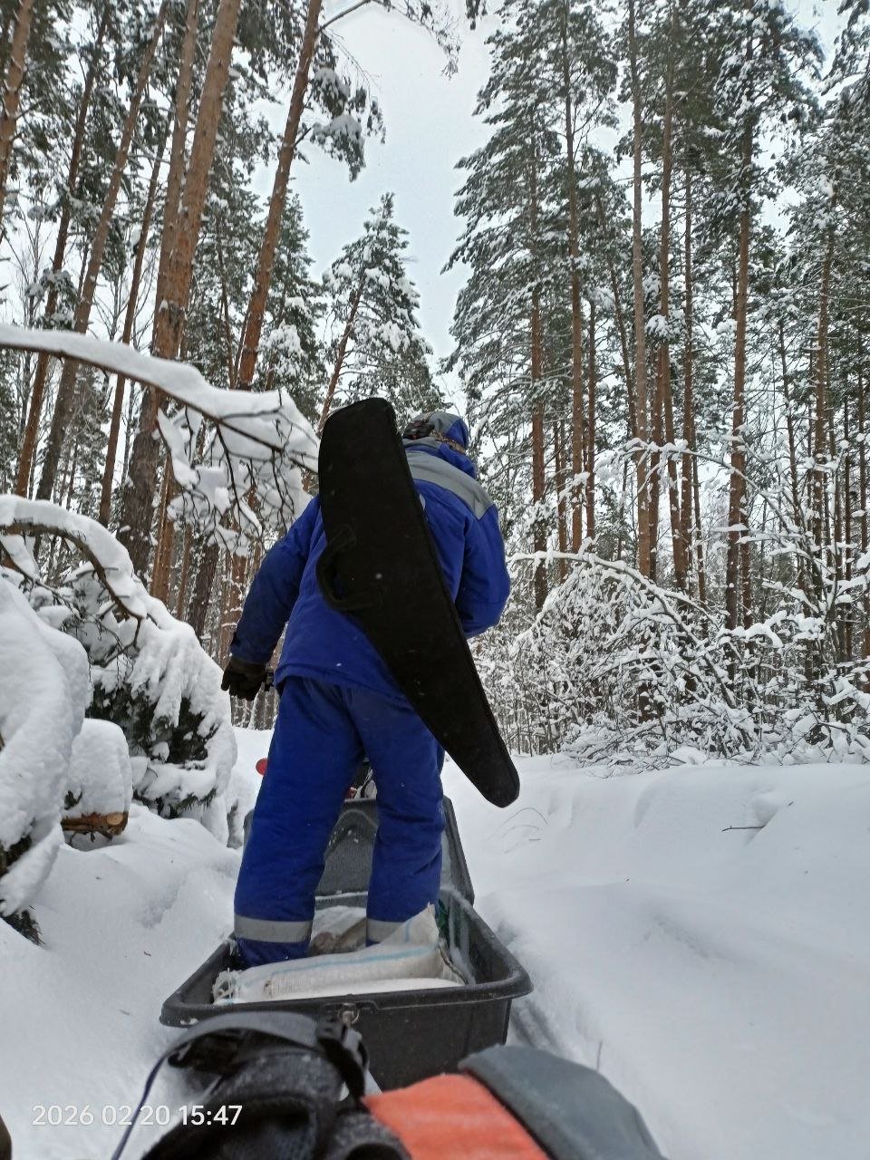 Закрытие охоты на кабанчика 2026