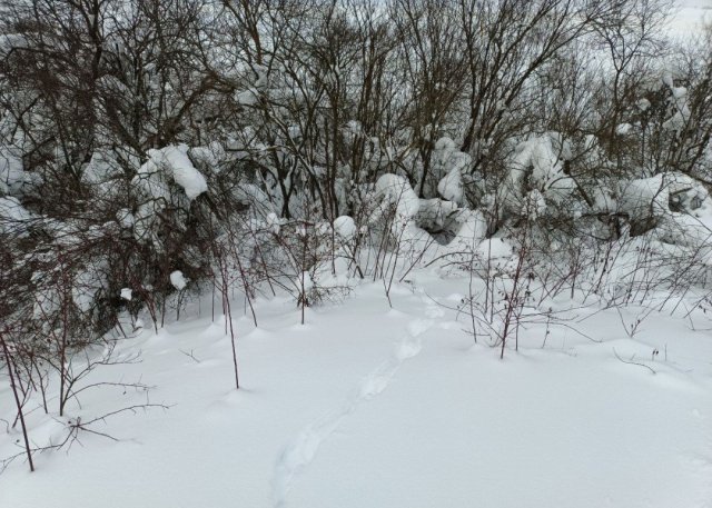 Screenshot_20260209-091442 (1).png