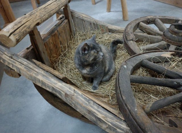 Screenshot_20260226-081536 (1).png