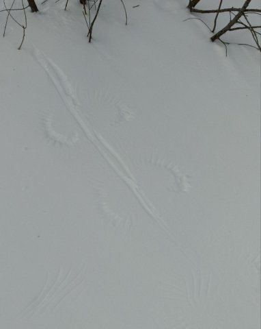 Screenshot_20260226-081545 (1).png