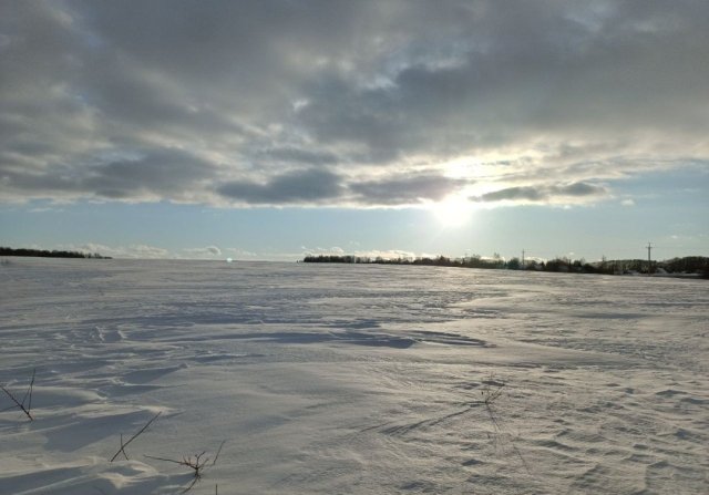 Screenshot_20260226-081616 (1).png