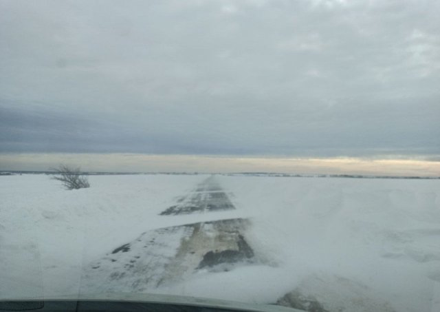 Screenshot_20260226-081632 (1).png