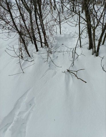 Screenshot_20260226-081636 (1).png