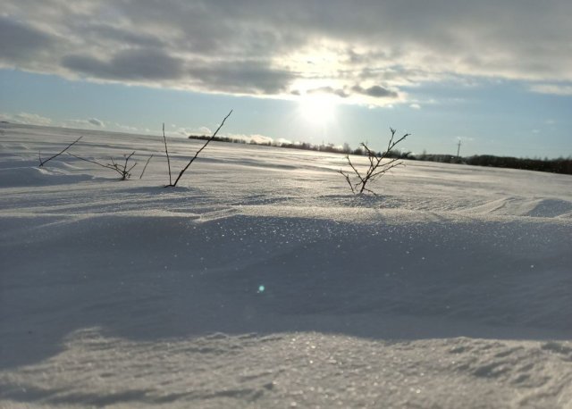 Screenshot_20260226-081703 (1).png