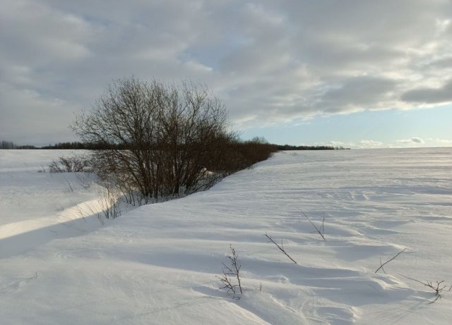 Screenshot_20260226-081707 (1).png