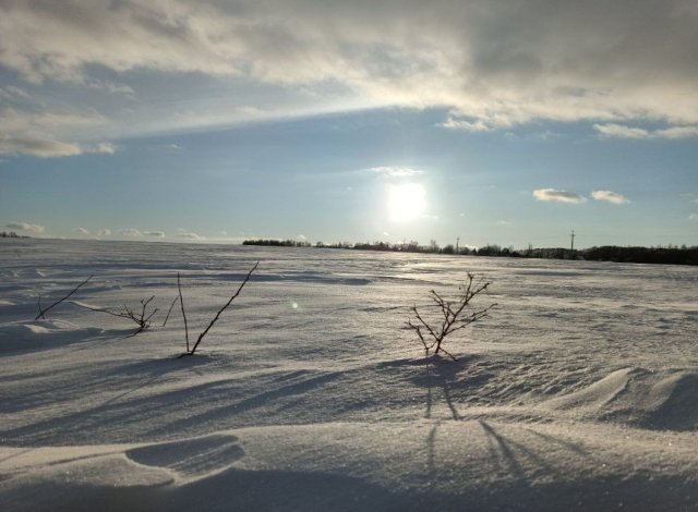 Screenshot_20260226-081712 (1).png