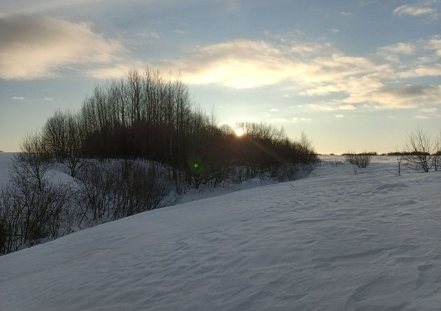 Screenshot_20260226-081715 (1).png