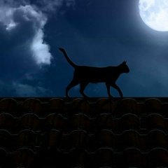 Шура Кузнецова