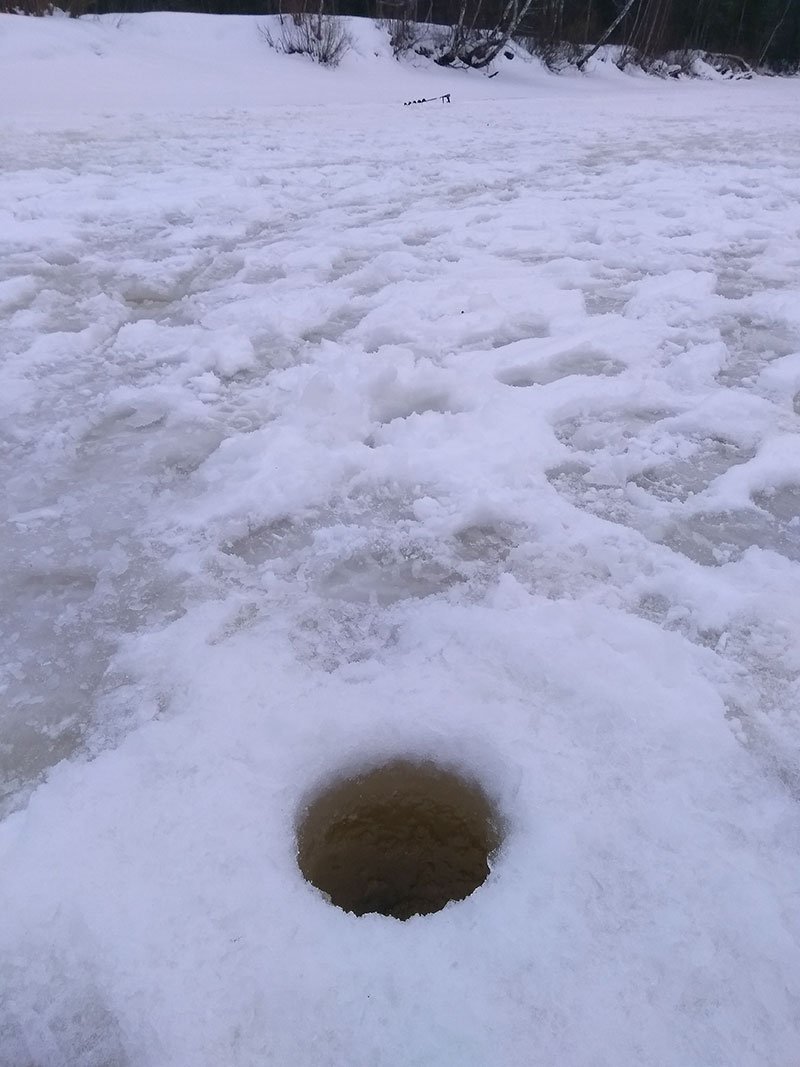 Окидывая взглядом