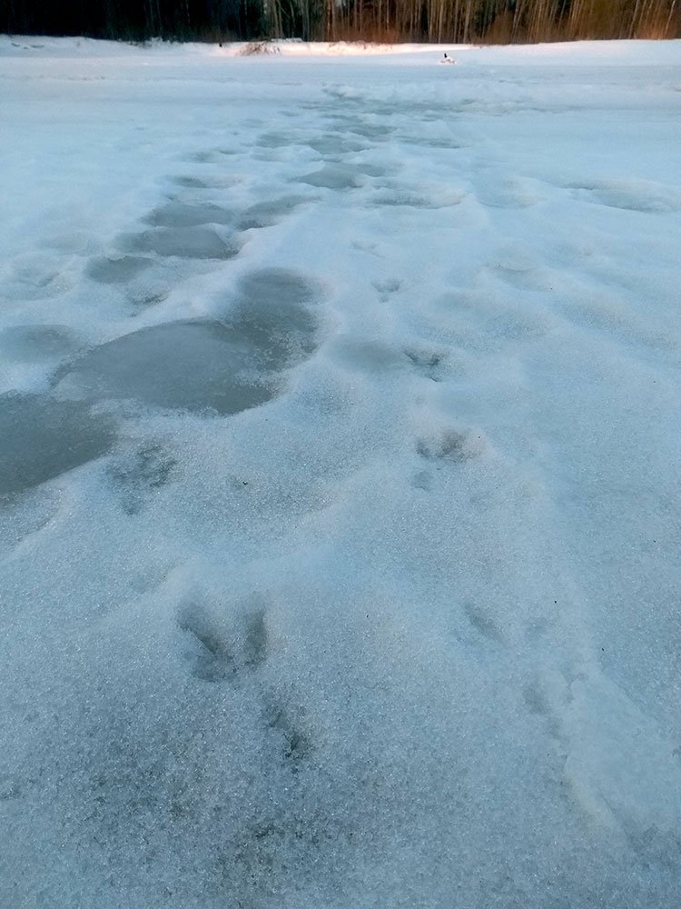 Окидывая взглядом