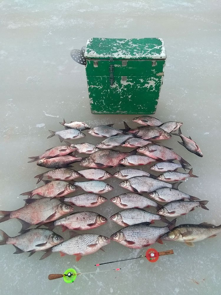 Окидывая взглядом